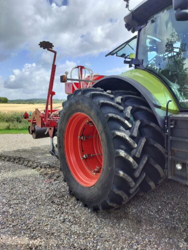 483566551_1169935094919729_6277974395999541505_n-375x500